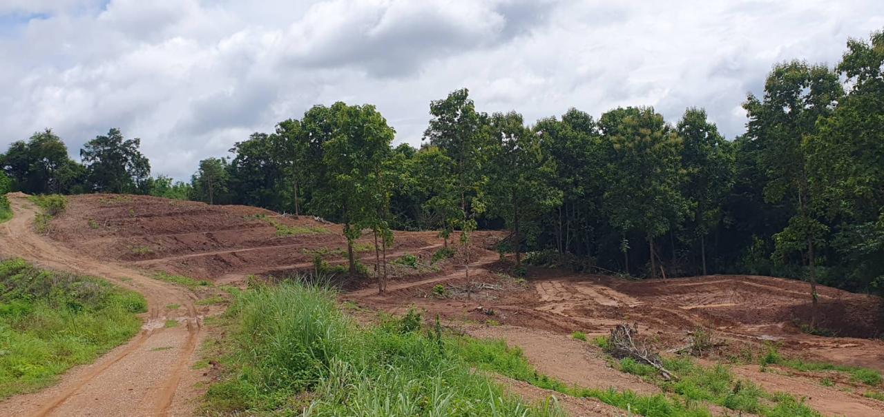 ภาพประกอบที่ 21