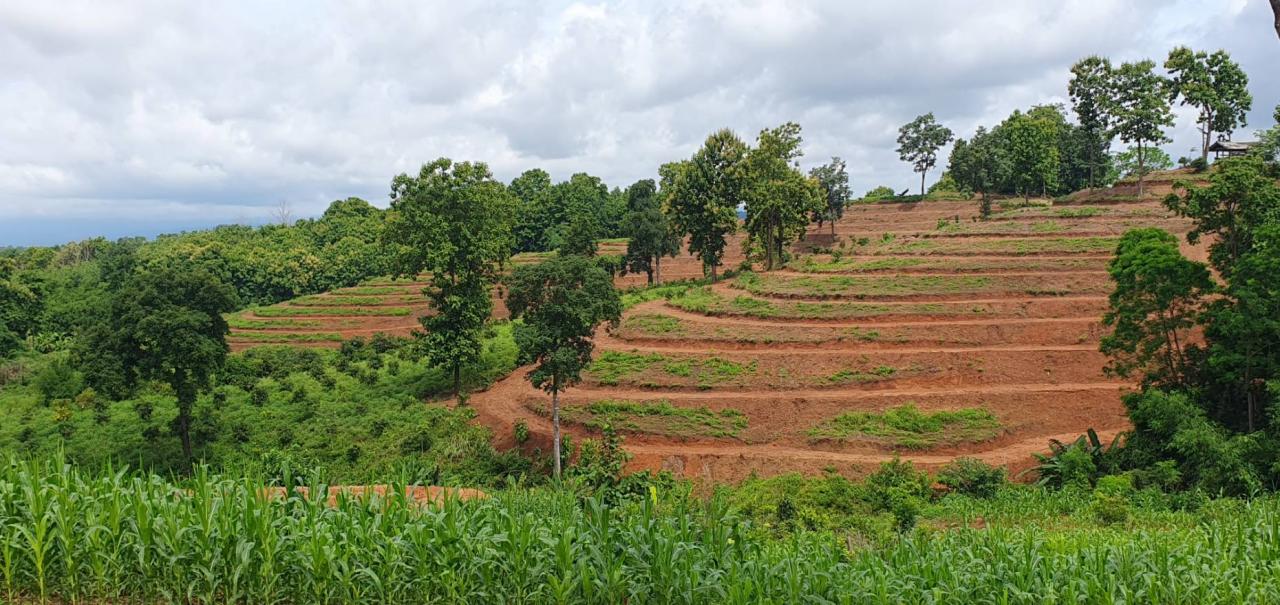 ภาพประกอบที่ 22