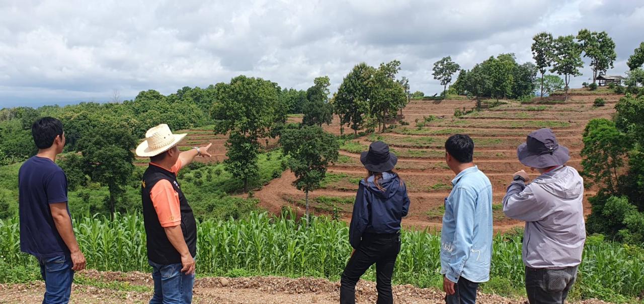 ภาพประกอบที่ 24