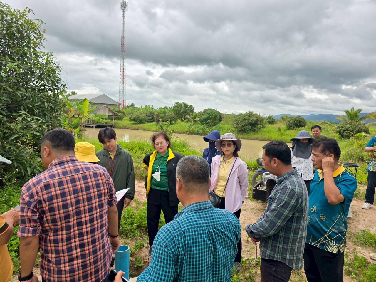 ภาพประกอบที่ 7