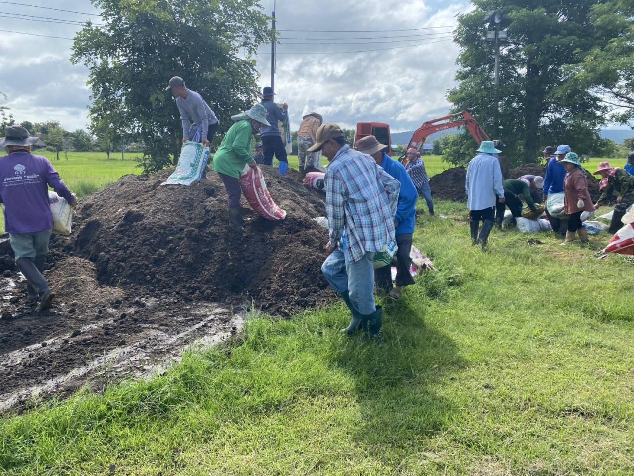 ภาพประกอบที่ 1