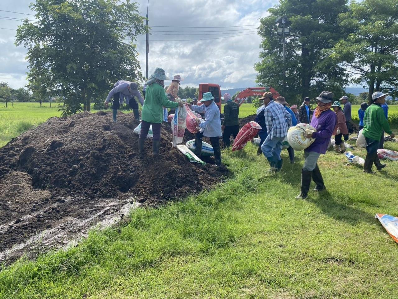 ภาพประกอบที่ 3