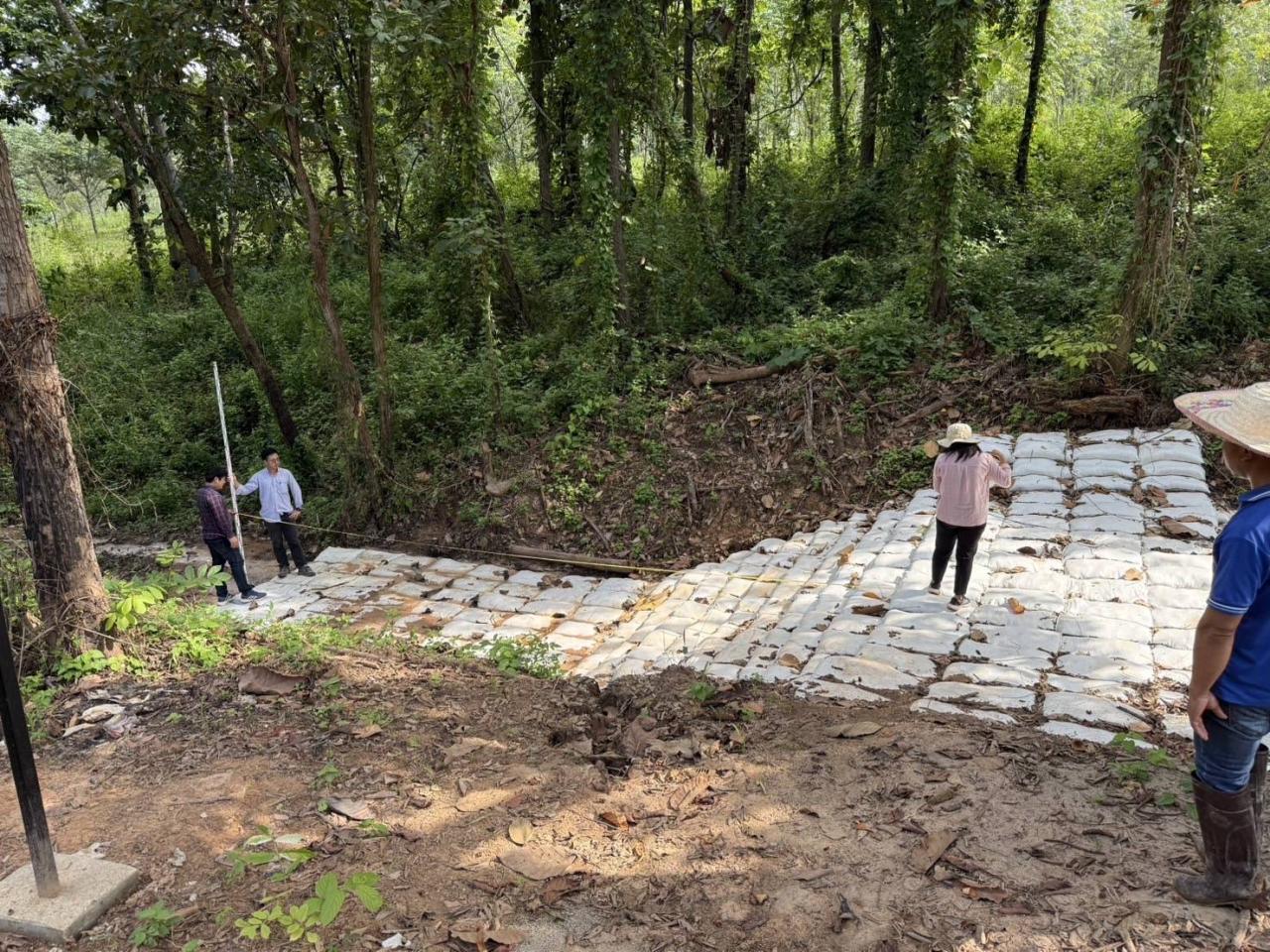 ภาพประกอบที่ 1