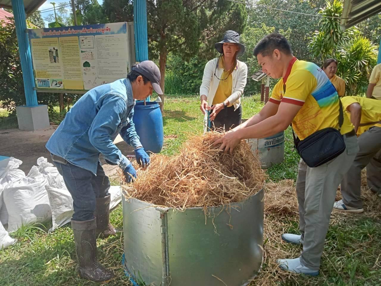 ภาพประกอบที่ 11