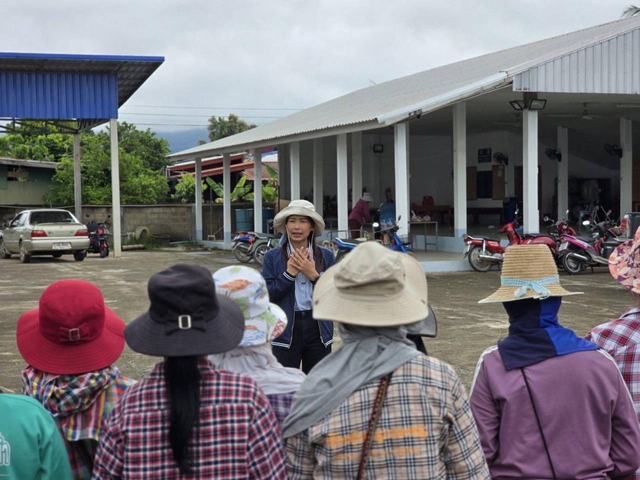 ภาพประกอบที่ 2