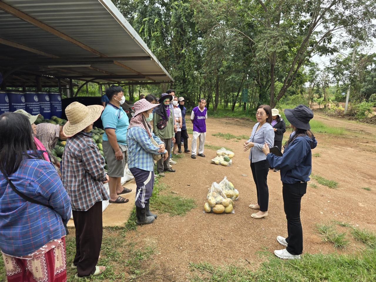 ภาพประกอบที่ 1