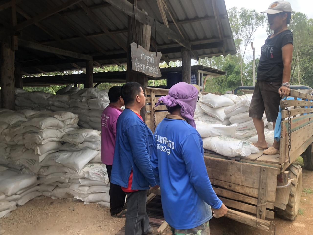 ภาพประกอบที่ 8