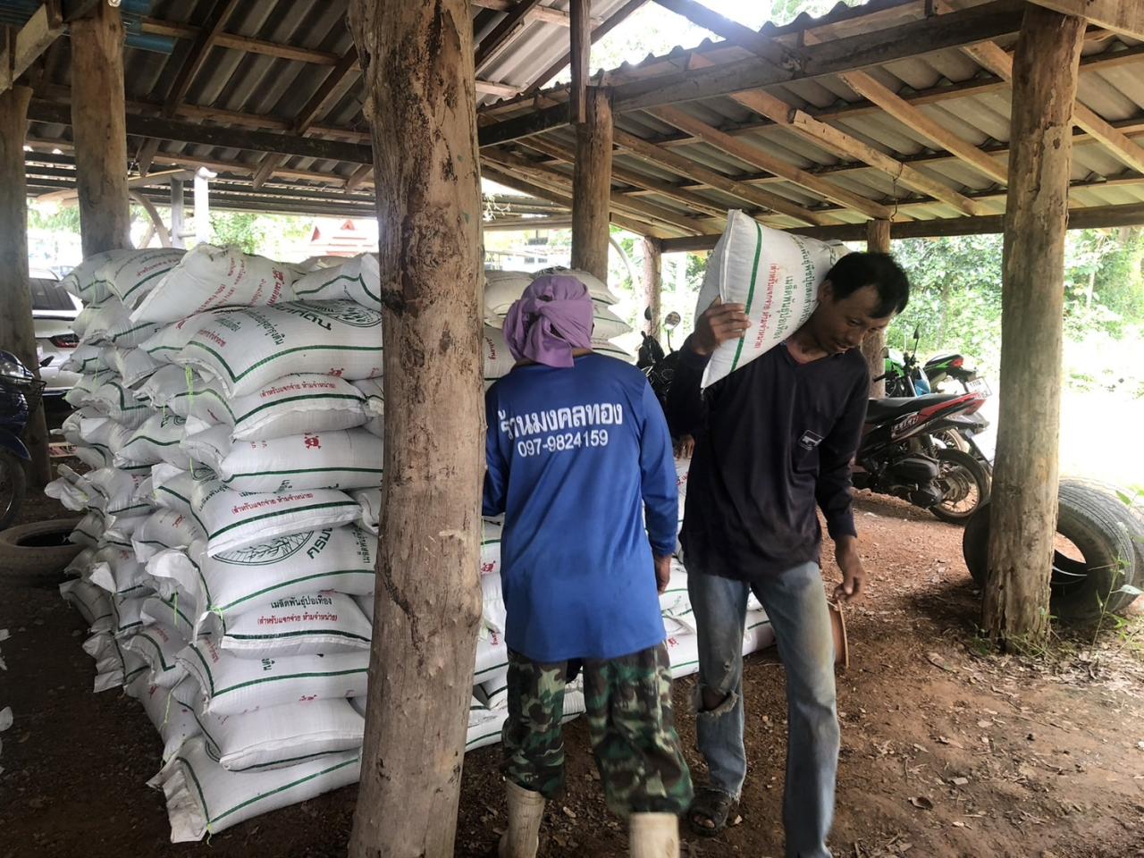 ภาพประกอบที่ 10