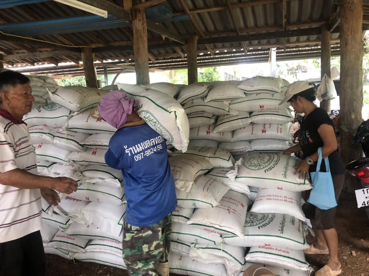 ภาพประกอบที่ 11