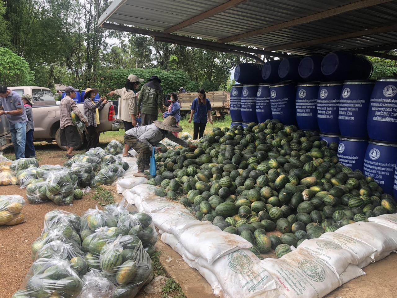 ภาพประกอบที่ 12