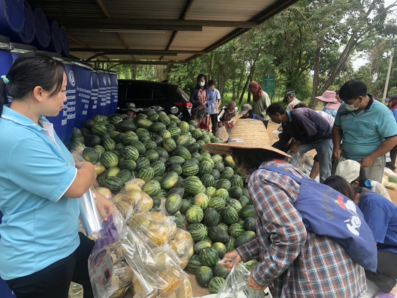 ภาพประกอบที่ 13