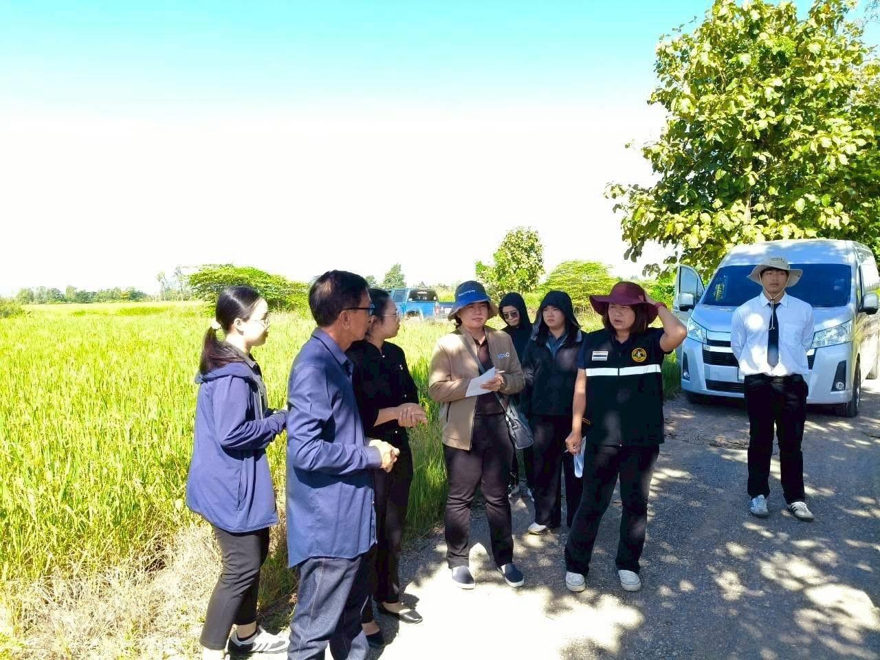 ภาพประกอบที่ 0