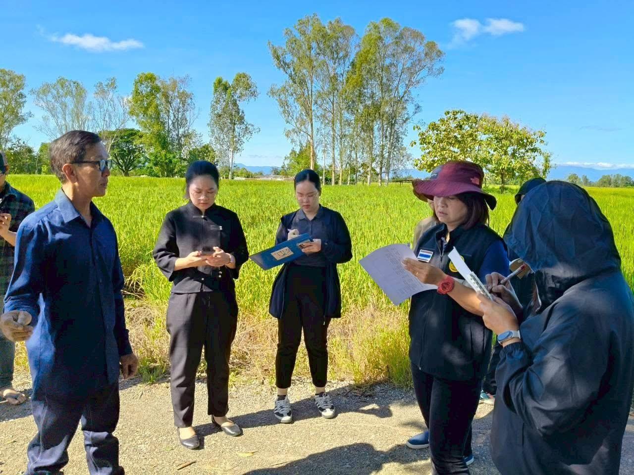 ภาพประกอบที่ 2