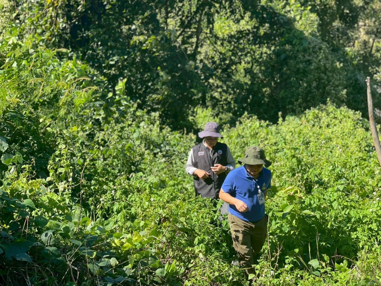 ภาพประกอบที่ 4