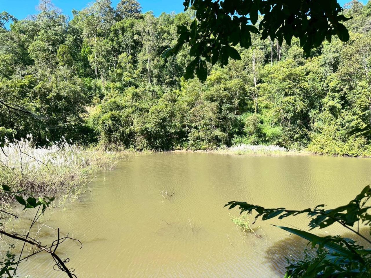 ภาพประกอบที่ 5