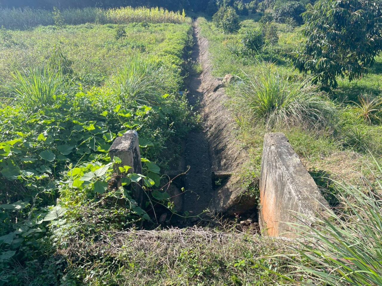 ภาพประกอบที่ 6