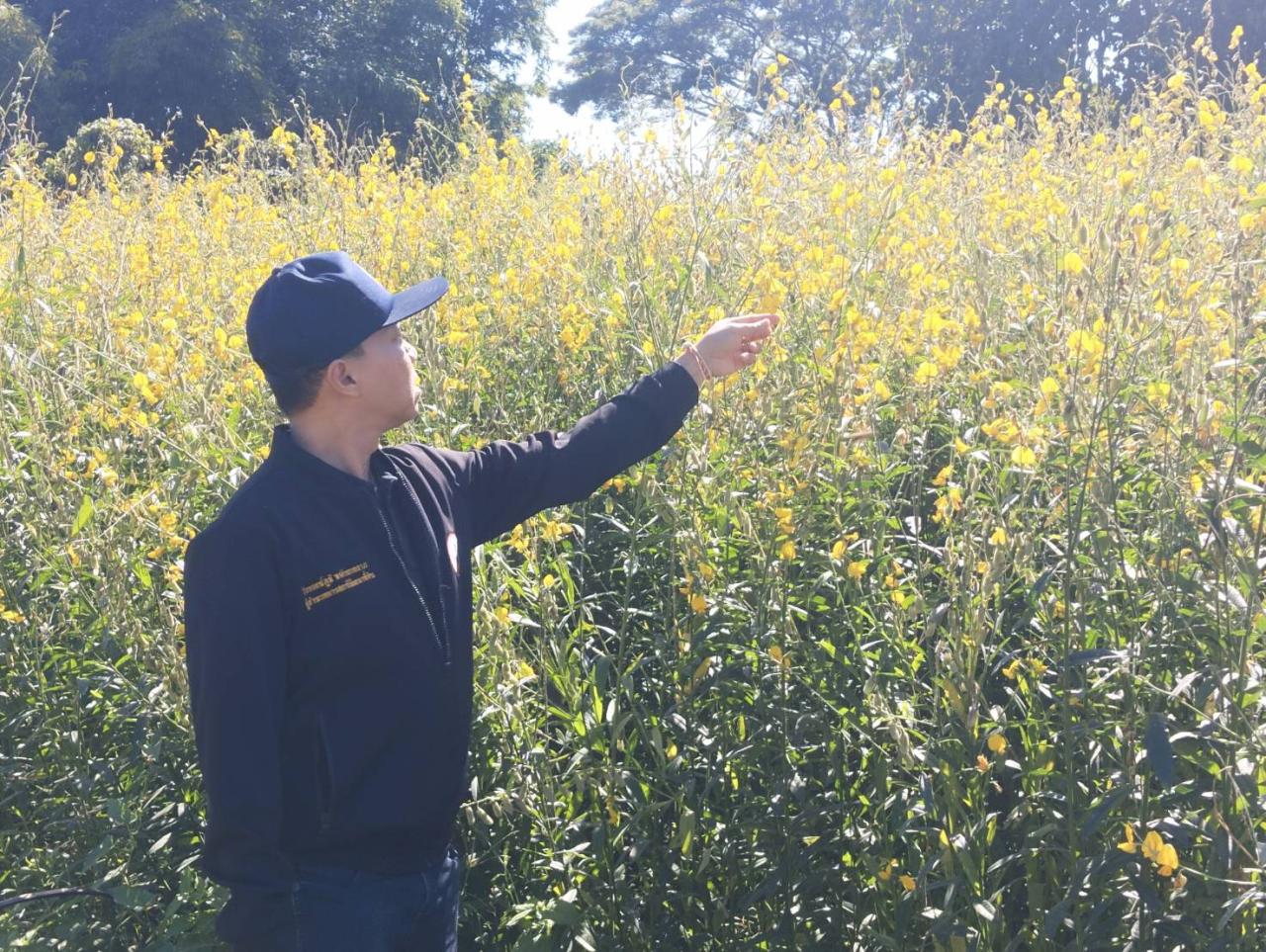 ภาพประกอบที่ 0