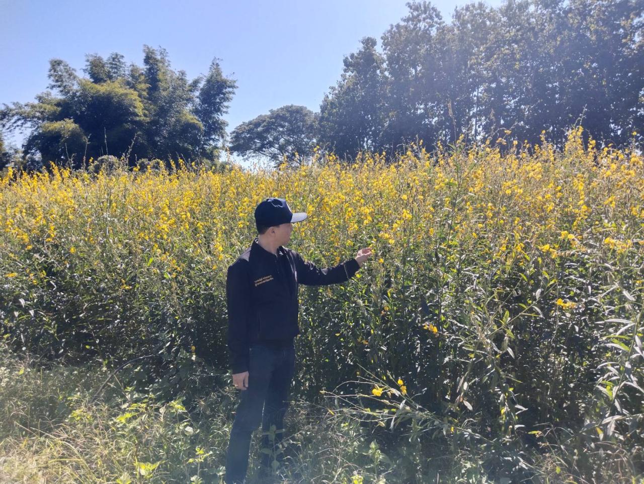 ภาพประกอบที่ 1