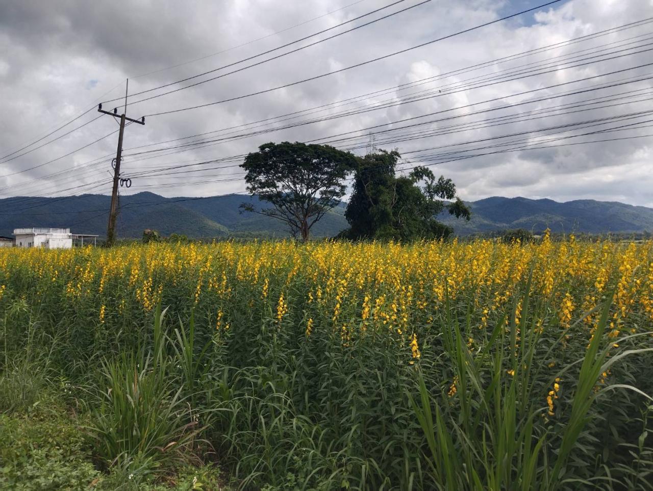ภาพประกอบที่ 4