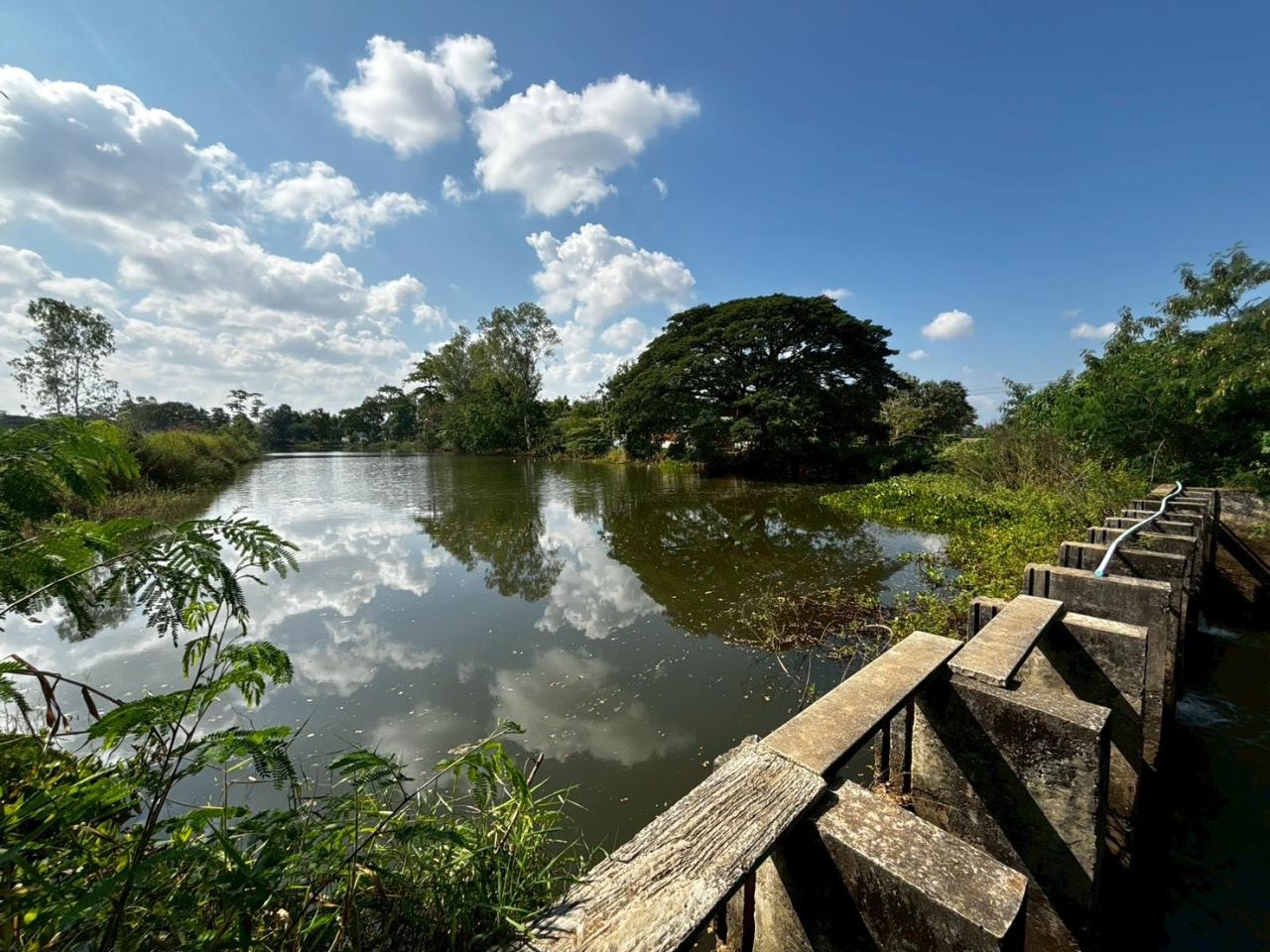 ภาพประกอบที่ 5