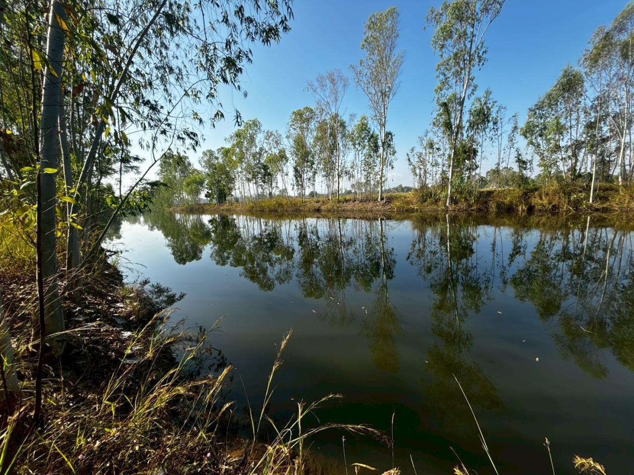 ภาพประกอบที่ 7