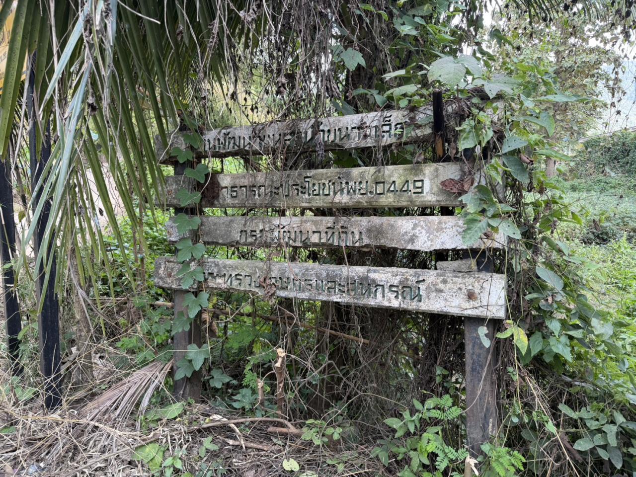 ภาพประกอบที่ 10