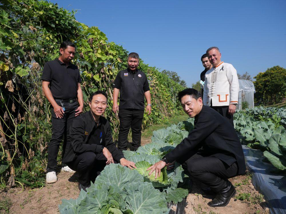 ภาพประกอบที่ 12