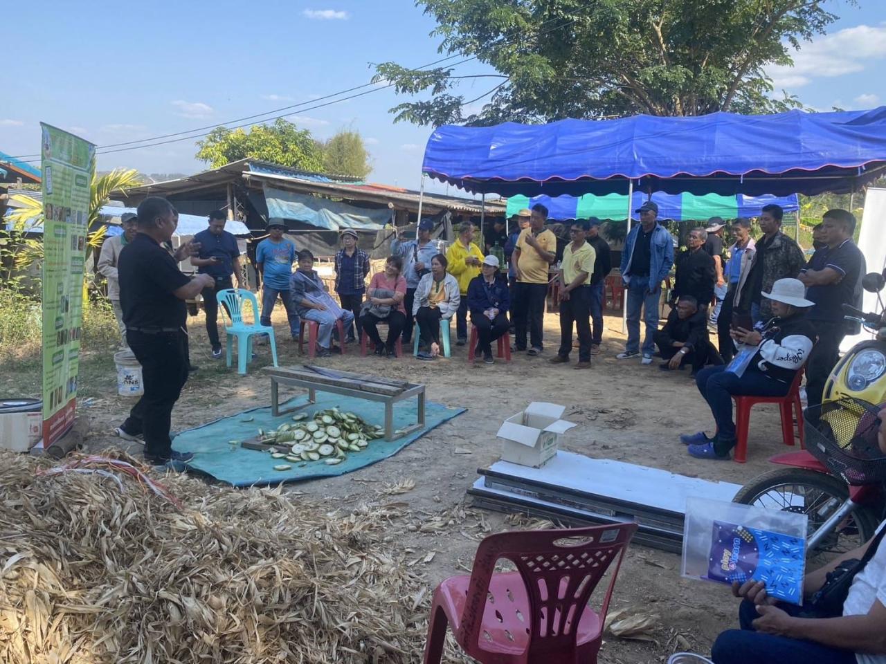 ภาพประกอบที่ 15