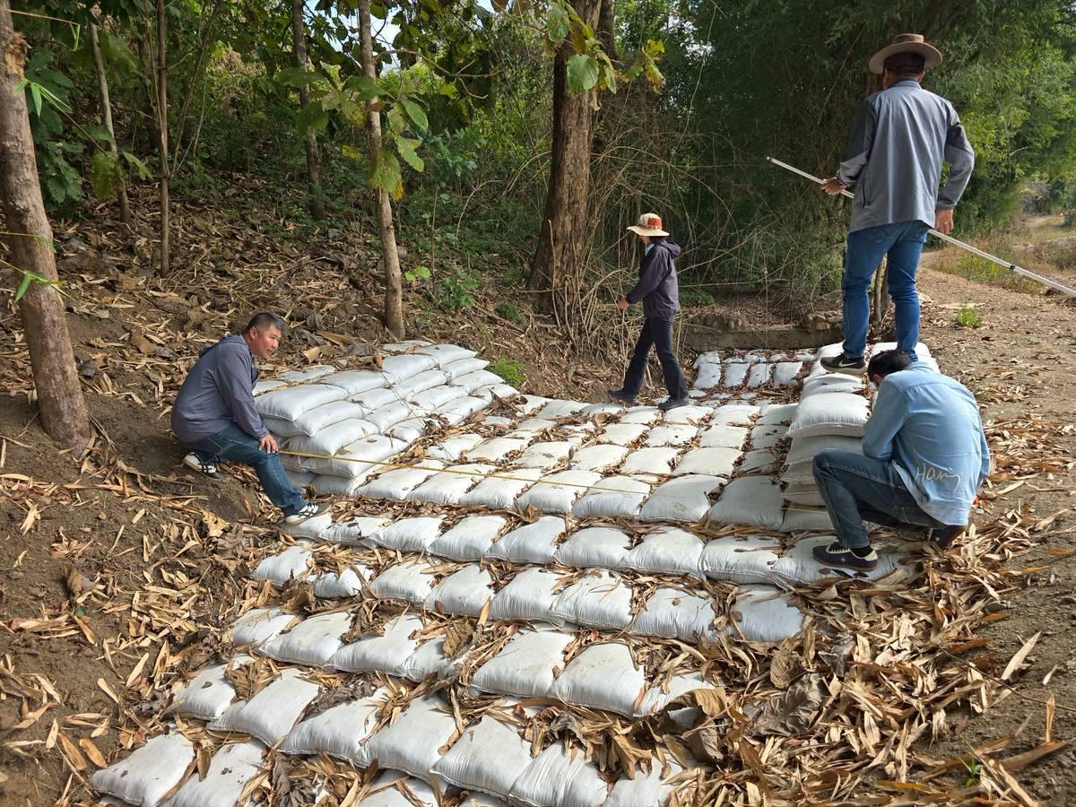 ภาพประกอบที่ 10