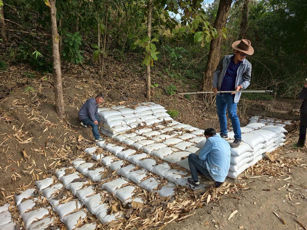 ภาพประกอบที่ 11