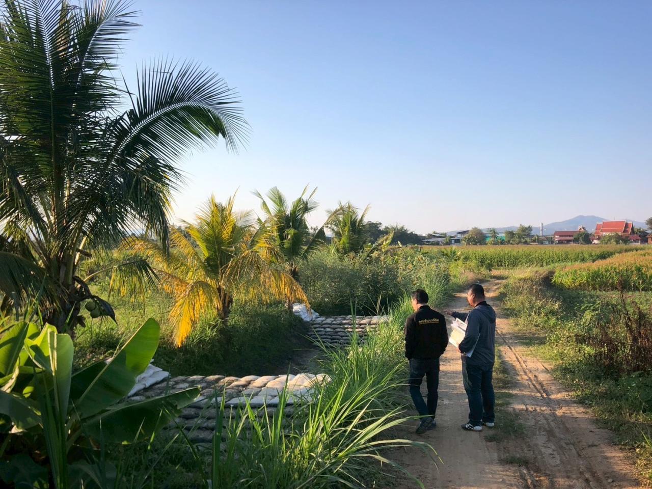 ภาพประกอบที่ 12