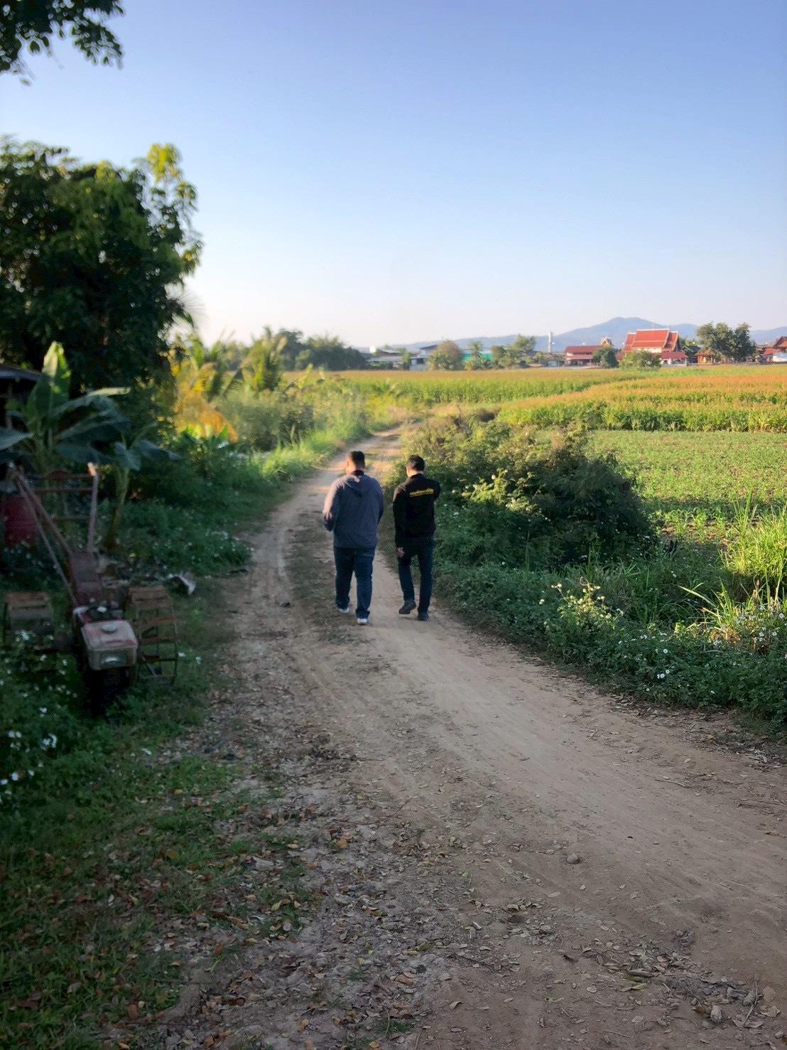 ภาพประกอบที่ 13