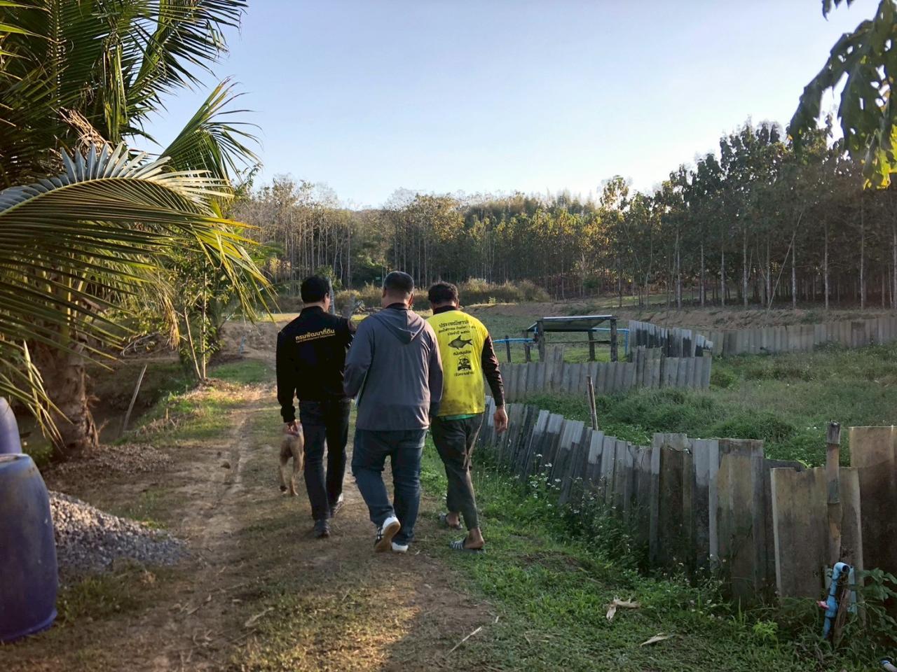 ภาพประกอบที่ 17