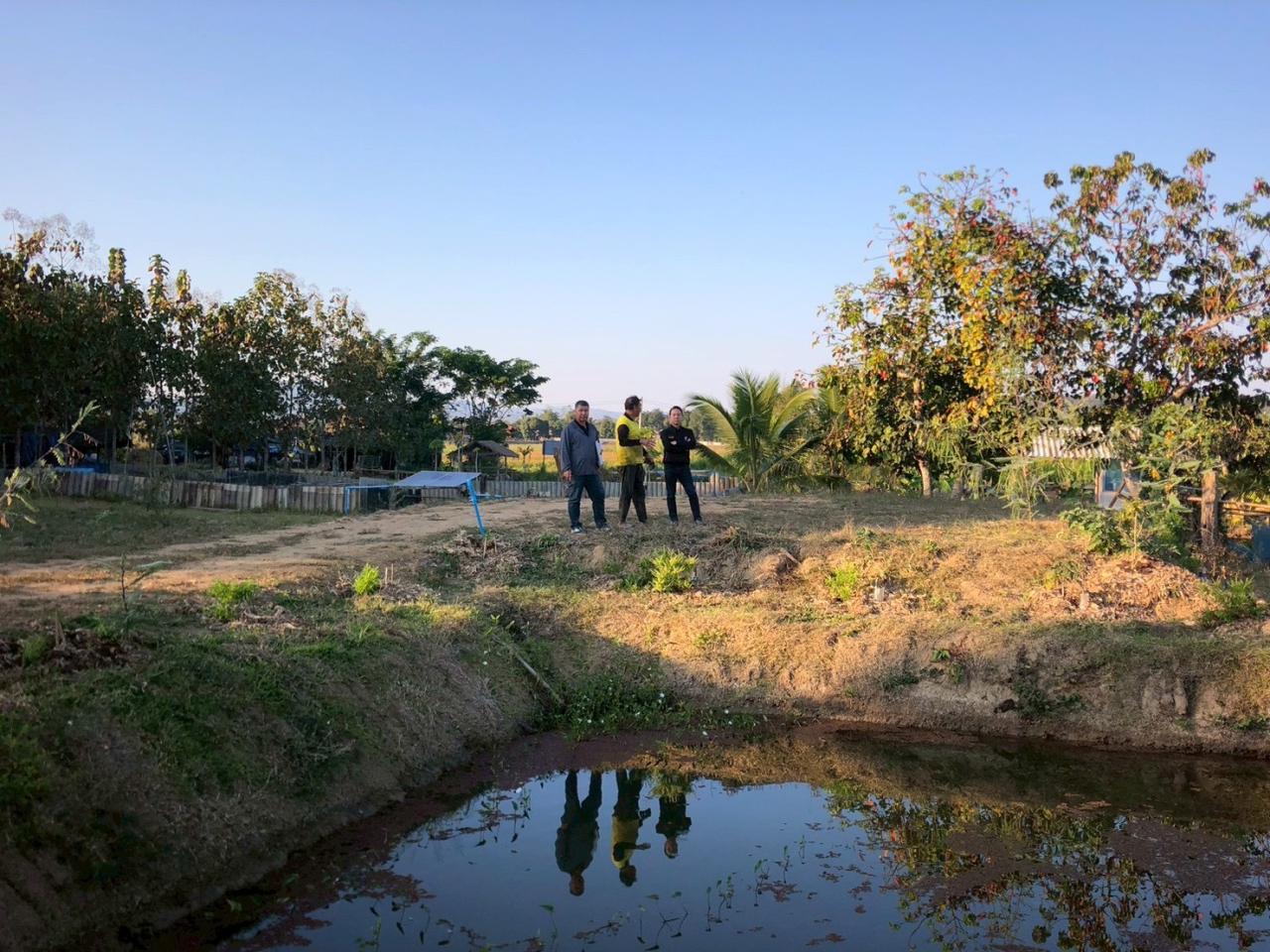 ภาพประกอบที่ 19