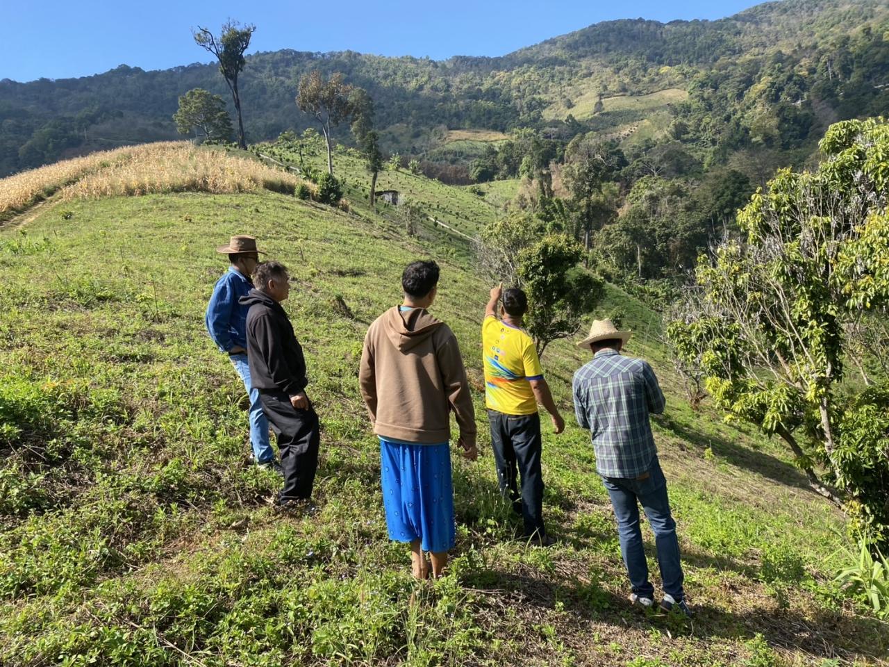 ภาพประกอบที่ 0
