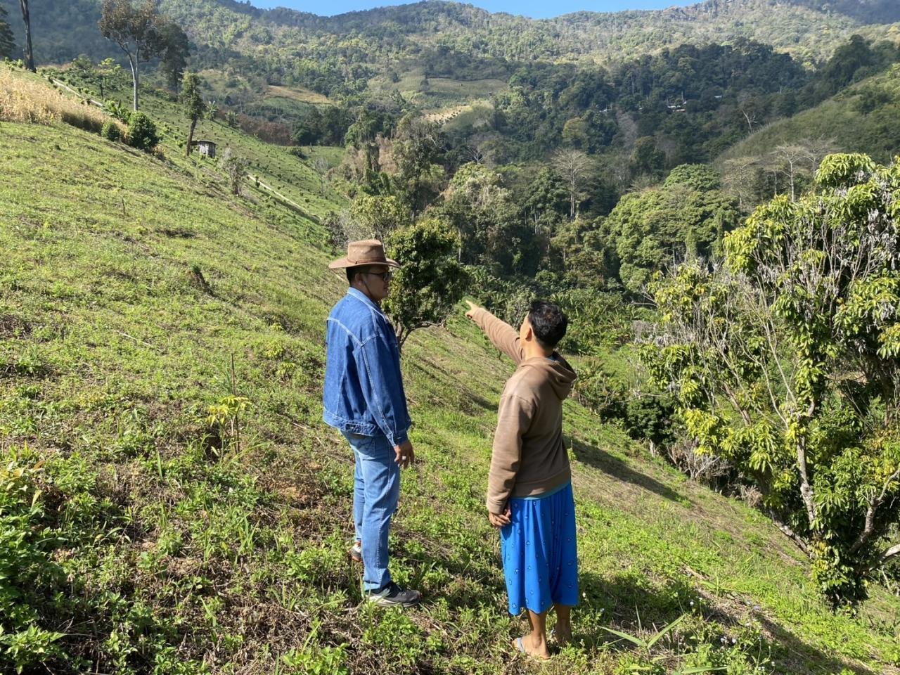 ภาพประกอบที่ 1