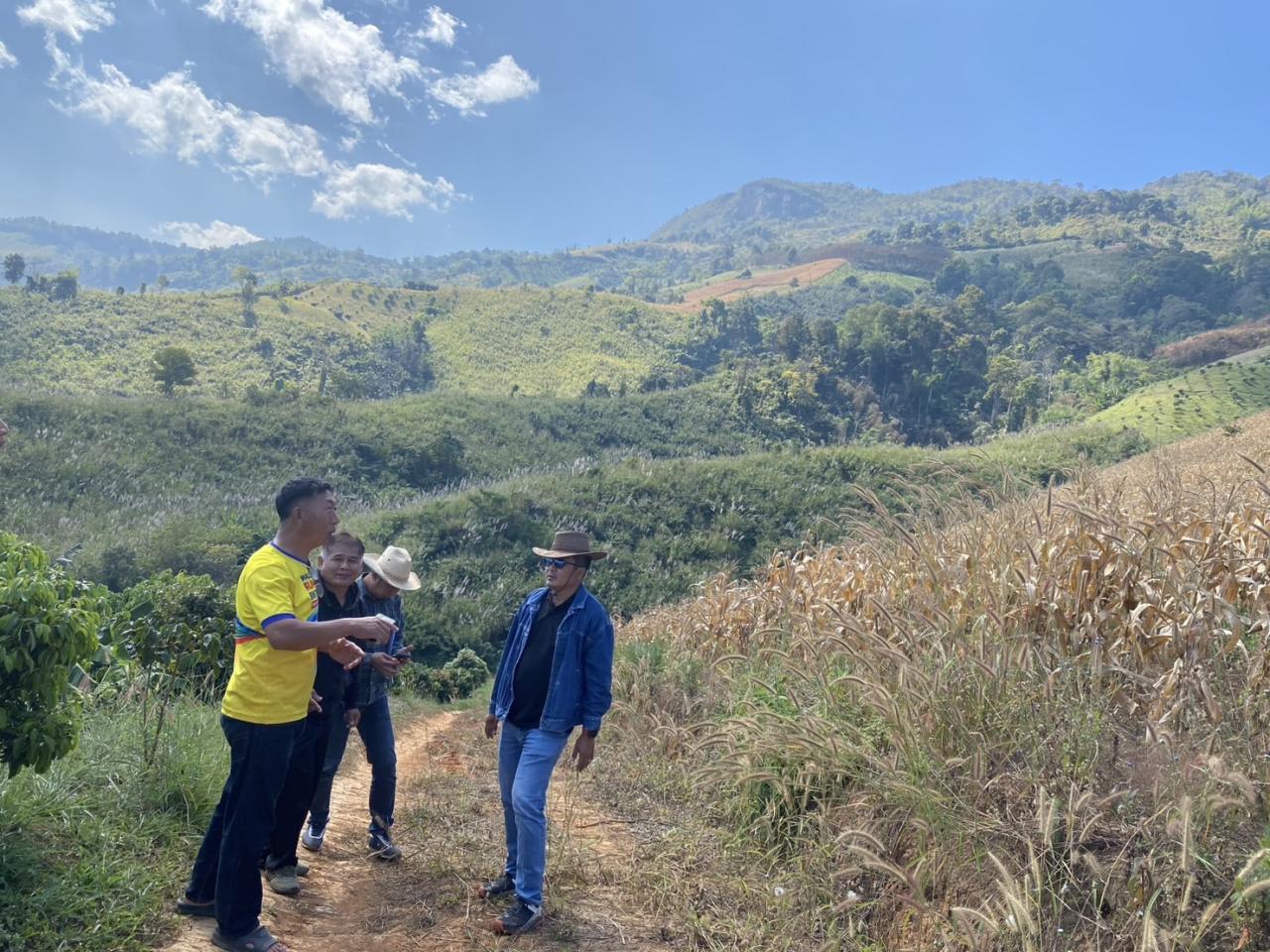 ภาพประกอบที่ 2