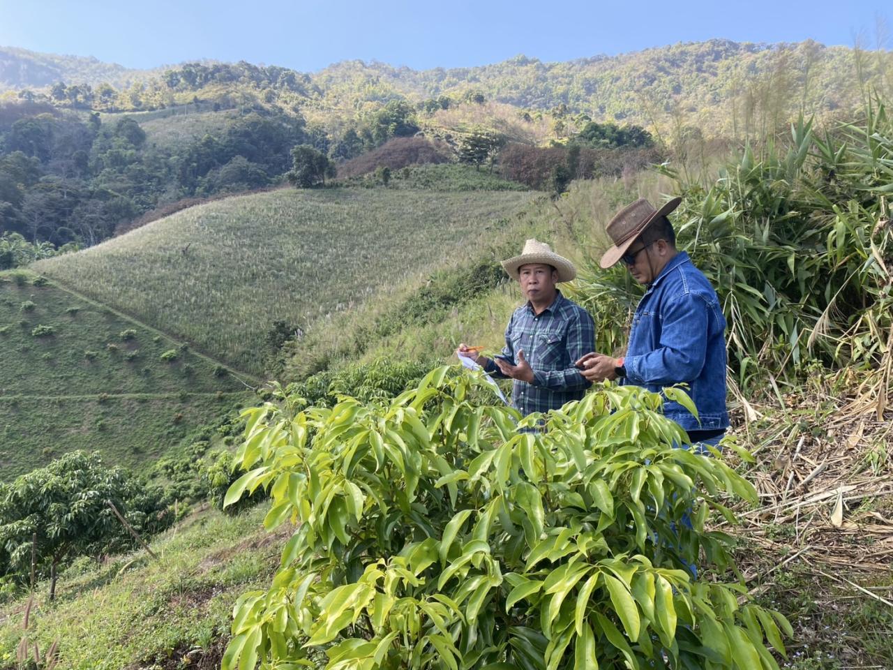 ภาพประกอบที่ 3