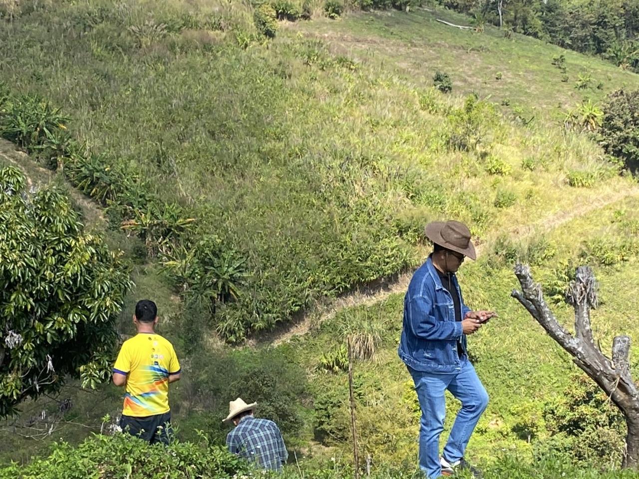 ภาพประกอบที่ 5