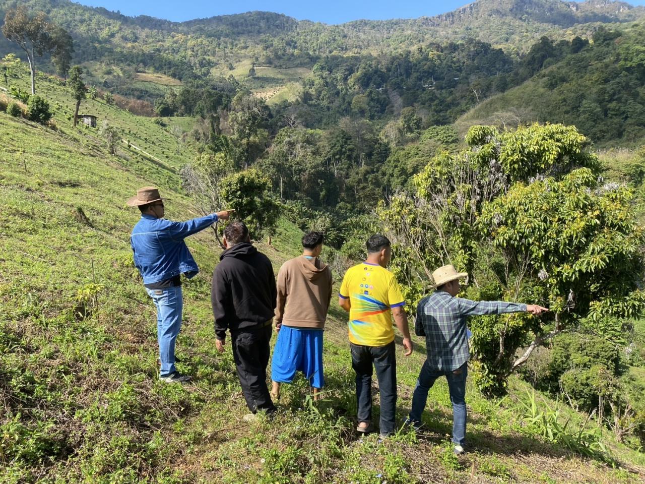 ภาพประกอบที่ 6