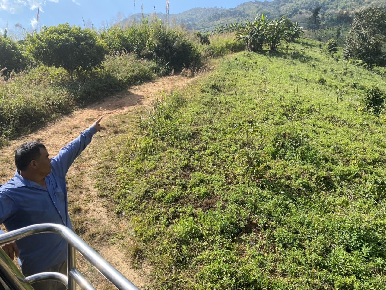 ภาพประกอบที่ 7