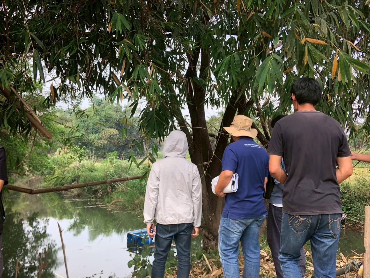 ภาพประกอบที่ 5