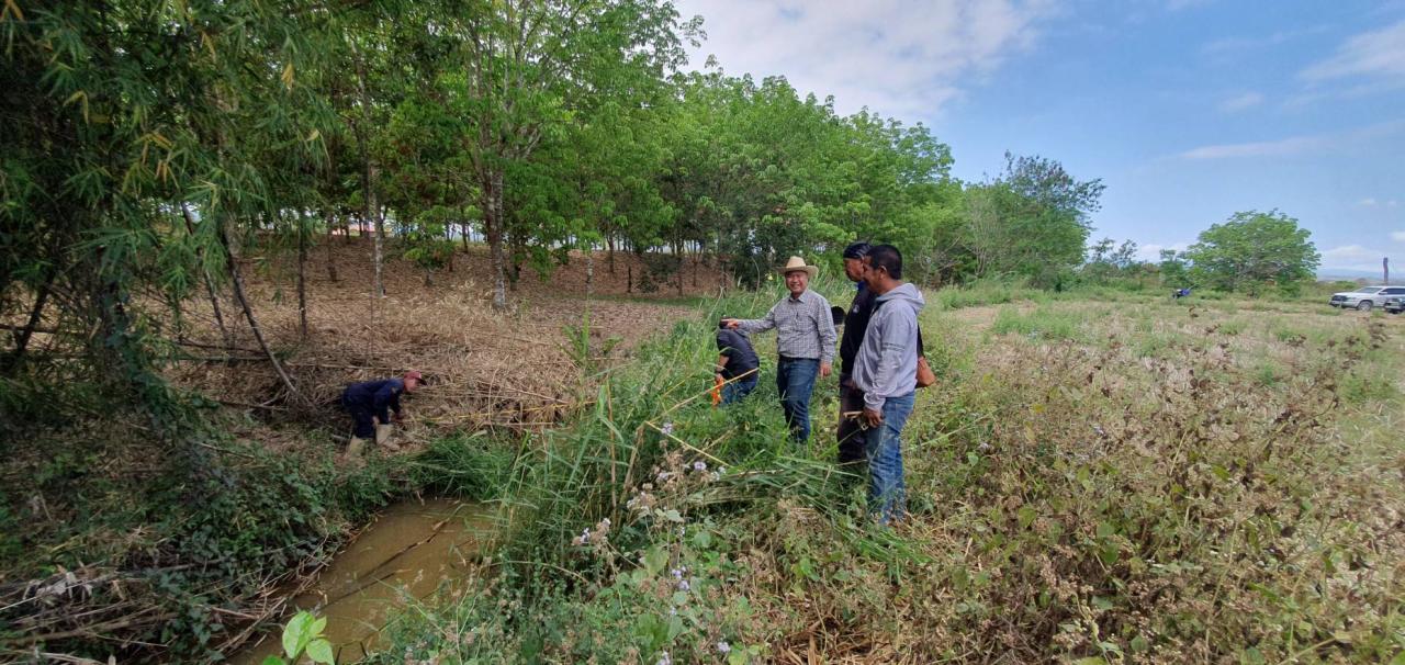 ภาพประกอบที่ 5
