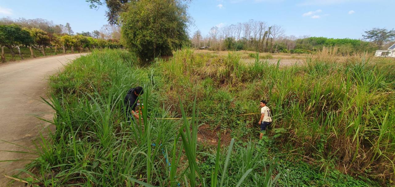 ภาพประกอบที่ 7