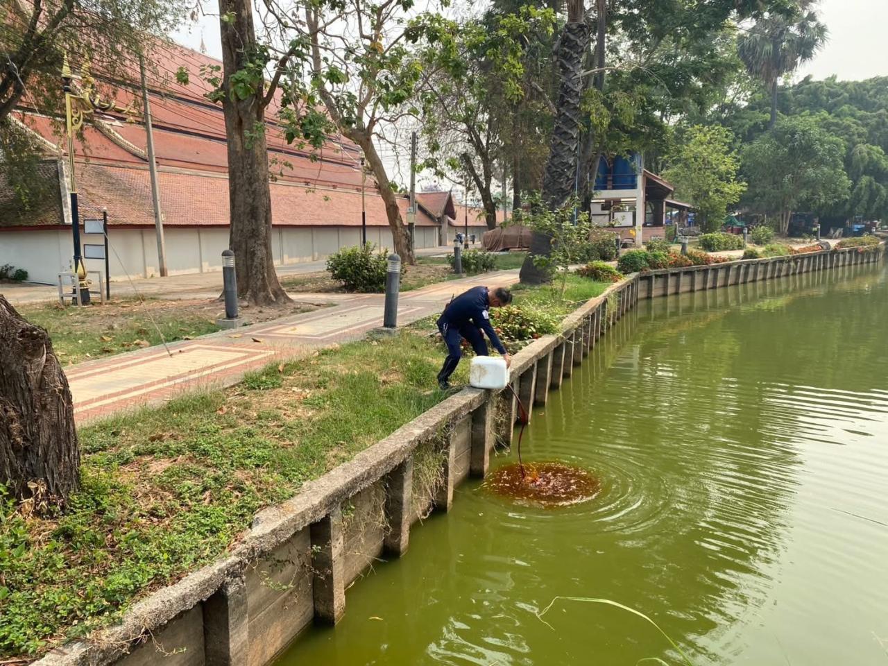 ภาพประกอบที่ 4