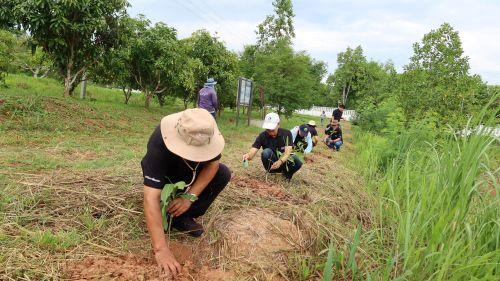 ภาพประกอบที่ 2