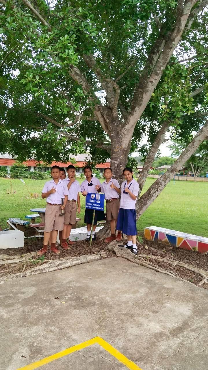 ภาพประกอบที่ 6