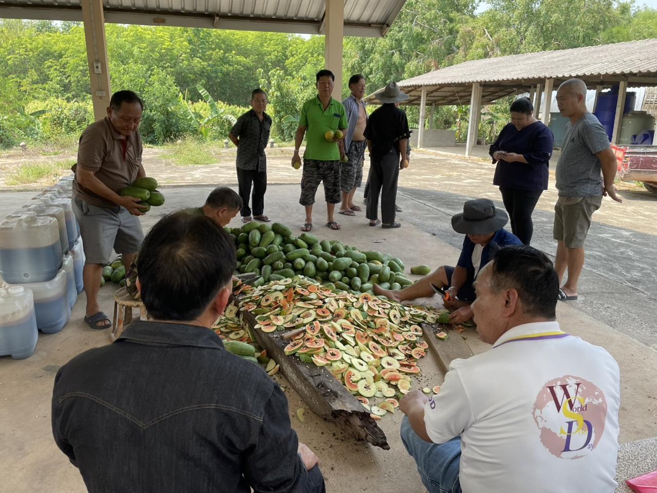 ภาพประกอบที่ 1