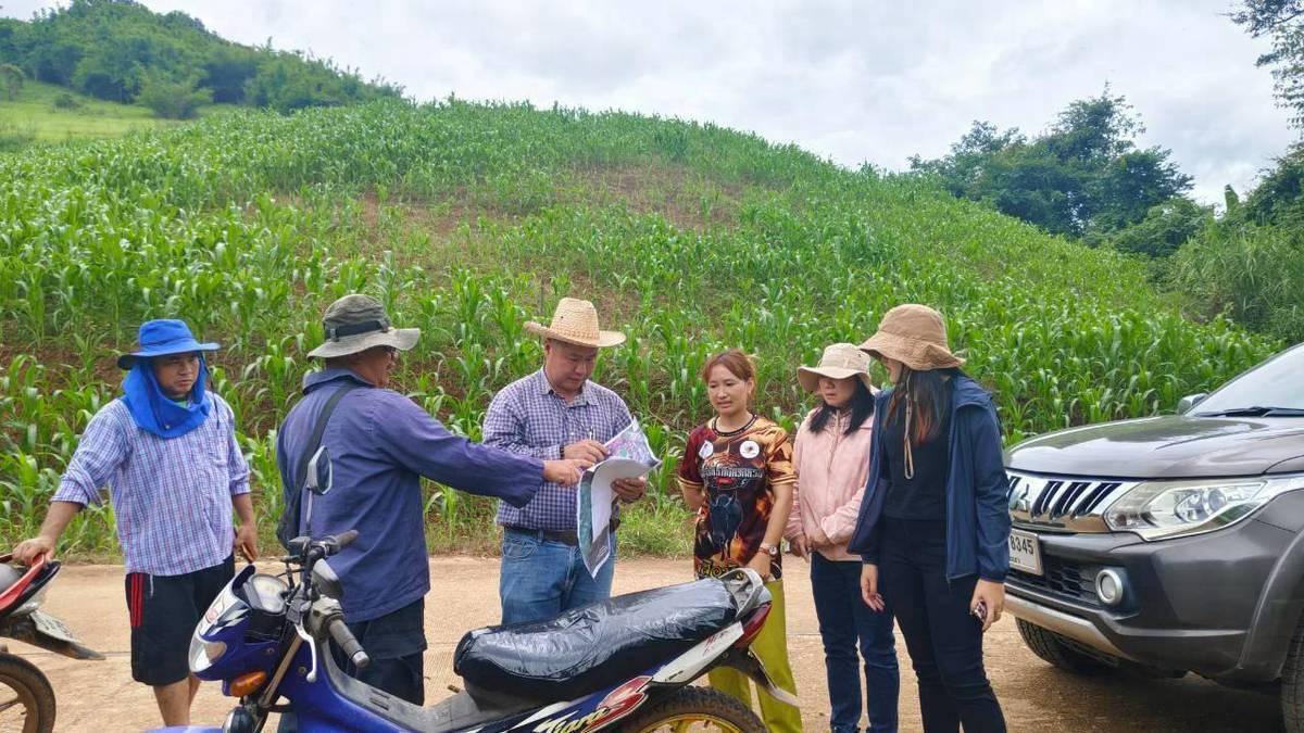 ภาพประกอบที่ 1