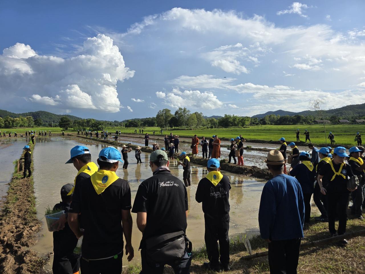 ภาพประกอบที่ 0